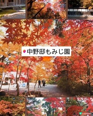 紅葉🍁襯淒美！中野邸美術館🍂！
