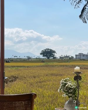 我想咖啡☕稻田邊嘅靜謐午後🌾！