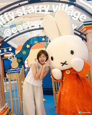 / 🐰𝙢𝙞𝙛𝙛𝙮𝟳𝟬周年啦🎉 /