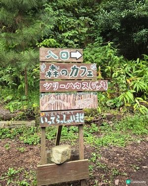 系島篇：超好打卡森林cafe