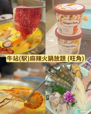 H雪糕 大頭蝦 乳鴿 番本全攻略@牛站