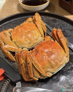 🌸經典重現😊復刻體驗👍🏻推介香濃嘅養生菇菌燉雞鍋