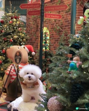 太古廣場聖誕🎄濃度爆燈！🤩 10000%