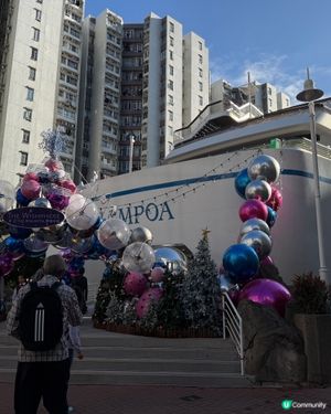 黃埔號聖誕攻略！🎄 浪漫光影打卡點✨