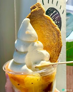 水準穩定 🍦健康乳酪雪糕