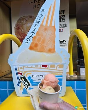 南山法式雪糕🍦！楊梅/海鹽味，正呀！😋