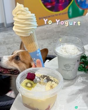 韓國直送乳酪🍦荔枝椰藍必試🤤