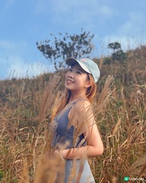 芒草滿開大東山🌾