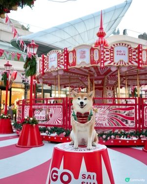 🌟Happy Go Round冬日樂園💫