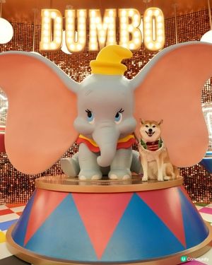 🐘Dumbo聖誕飛翔狂想曲✨