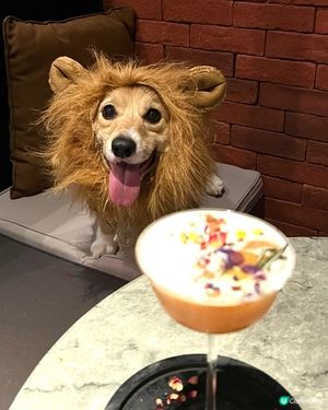 《西餐推介🍽️》