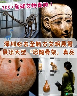 深圳展出超大型「恐龍骨架」真品🦕200+件全球文物真跡必去‼️