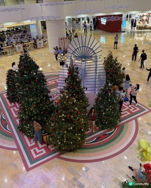 太古廣場聖誕🎄！貓仔神秘出場🐯！