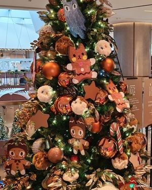 Merry Christmas 🥳🥳