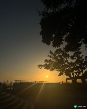 屯門一日遊！遠都有驚喜🤩📸