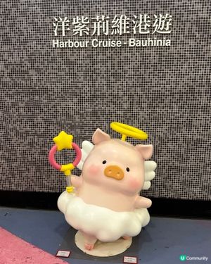 🎅聖誕郵輪食buffet睇夜景🛳️同lulu豬🐽打卡📷