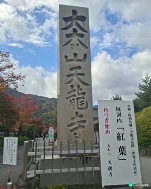 ✨日本京都嵐山竹林小徑逛行分享✨️附近景點美食分享😍