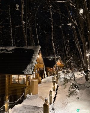 北海道精靈露台！🌲❄️ 手作控必去！🤩