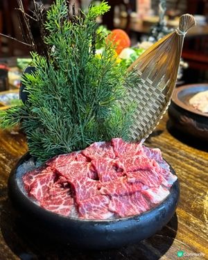 銅鑼灣火鍋探險記🍲📸足料花膠雞湯底🤤🤤