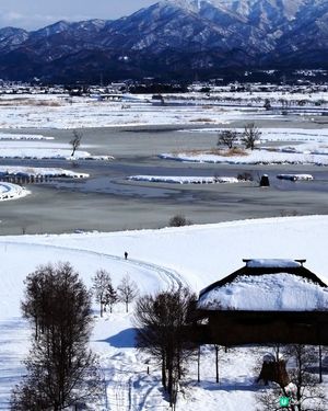 新潟 雪景 福島潟