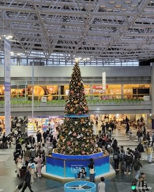 北海道雪景之旅🍁❄️！零度以下都值！😋