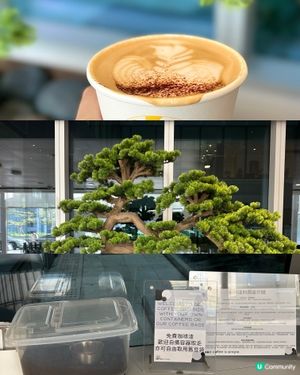 寧靜的Cafe舒緩我的不安