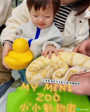 全港首個室內異寵體驗館❗️😱