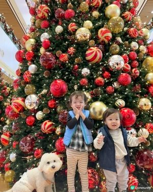 灣仔City walk最強攻略嚟喇!