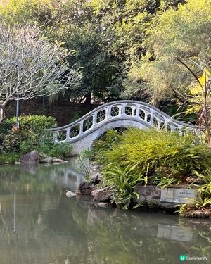 沙田公園及周邊