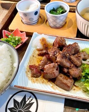 午後和風 萌萌熊貓相伴