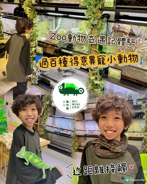 拎正牌+學到嘢嘅室內異寵體驗🐾