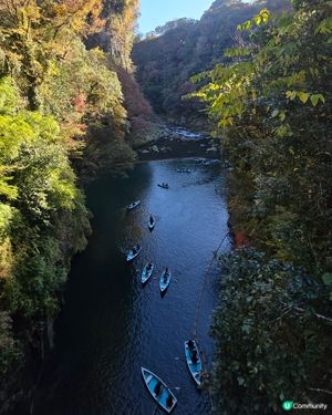 高千穗峽必玩🛶！紅葉🍁櫻花🌸季必搶船票攻略
