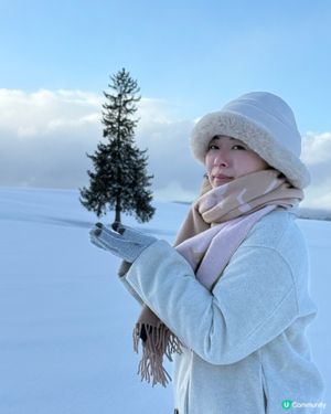 最孤獨的浪漫聖誕樹🌲❄️