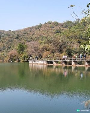 【新田至上水行山篇】麒麟山、古洞水塘、大水管