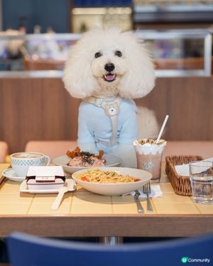 Hooman 強勢回歸！超打卡雲朵泡泡咖啡 