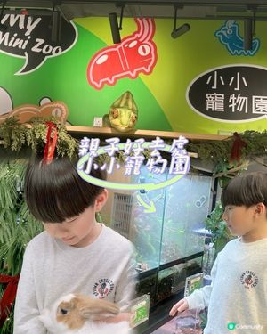 親子樂！動物近距離接觸 🐍🐰🐾