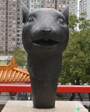 快來和自己的生肖合個照為自己帶來好運