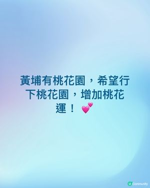 黃埔黃埔有桃花園,希望行下桃花園,增加桃花運!💕 