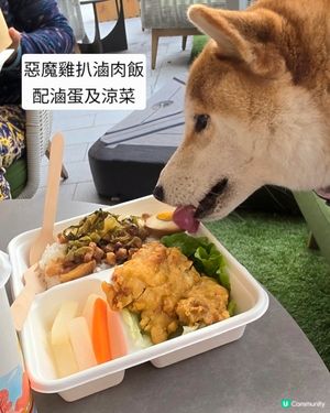 今次食台式便當, 幾好食. 但飲品一般. 總括嚟講可以啦. 