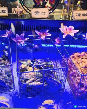 放題時間到！觀塘極尚大瀛喜食到飽 😋