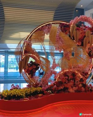 將軍澳｜繁花映富🌸