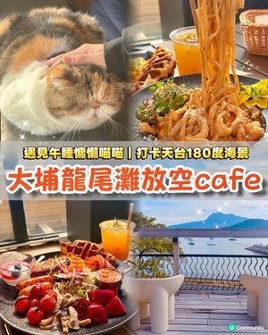 大埔龍尾灘放空喵喵cafe💚打卡180度海景🌊