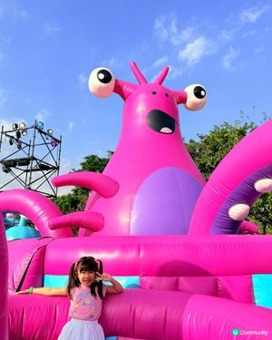 🔥The Big Bounce今年強勢回彈🔥