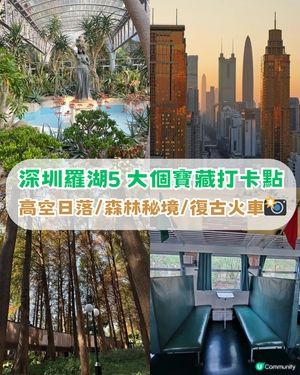 深圳羅湖區5 大個寶藏打卡點📸 高空日落+森林秘境+復古火車