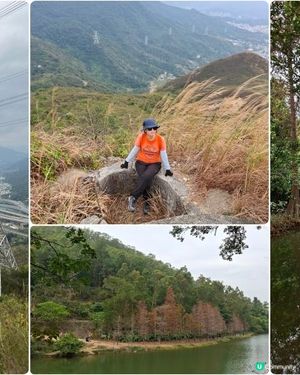 【粉嶺九龍坑站至丹竹坑行山篇】尖峰峒、龍山、鶴藪觀景台