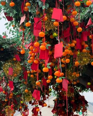 林村許願節🧧🧧🍊🍊🍊