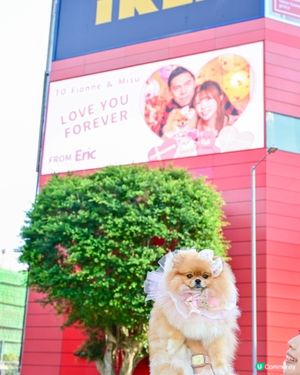 爸爸心意：電視冧囡囡媽媽💖📱