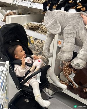 睇動物（公仔）