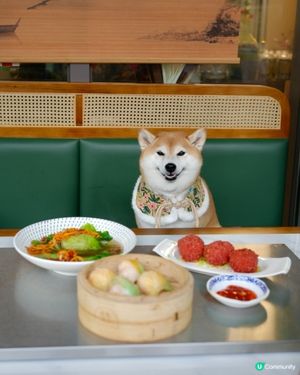 🫖賀年飲茶推介：大池小館🥢