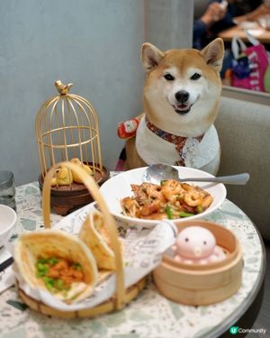 🍲新年飲茶之選 - 自己人🫖